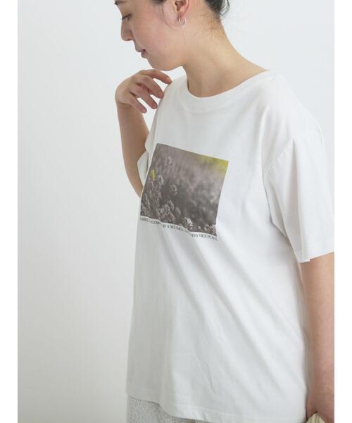 sm2rhythm（サマンサモスモスリズム）の「フォトプリントTシャツ(フラワー)（Tシャツ/カットソー・レディース・シルバーグレー/オフホワイト・F）」の16枚目の写真