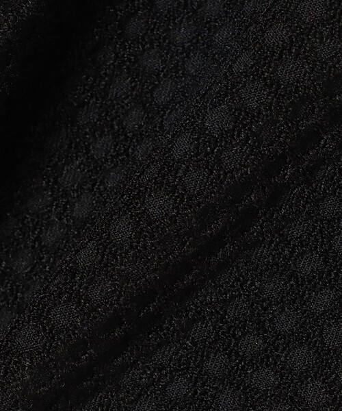 BEAMS GOLF(ビームスゴルフ)の「PURPLE LABEL / 衿付 グリッドプルオーバーシャツ(ポロシャツ・レディース・ブラック/ホワイト/ネイビー・SMALL/MEDIUM/LARGE)」の22枚目の写真