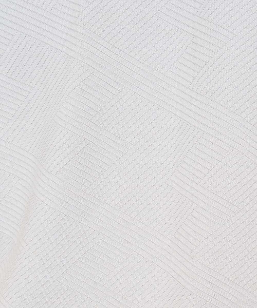 a.v.v（アーヴェヴェ）の「【イージーケア/洗濯機で洗える】キカジャカードセミワイドシルエットカットソー（Tシャツ/カットソー・メンズ・ライラック/グリーン・46/50）」の18枚目の写真