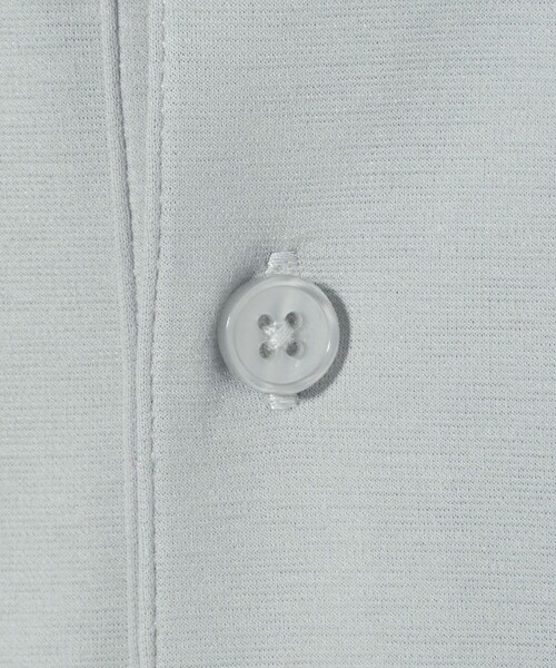 セール】シャイニー ポンチ ポロシャツ＜A DAY IN THE LIFE＞（Tシャツ