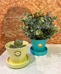 TRADITION ACOUSTIC.(�g���f�B�V�����A�R�[�X�e�B�b�N)�́y tradition acoustic. / �g���f�B�V���� �A�R�[�X�e�B�b�N�zTHE BAREFOOT �I���W�i�� �y�A�Z�b�g ���{�� �R�������� �A�ؔ� �v�����^�[ TDI(�t�����[�x�[�X)