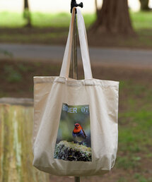 CIAOPANIC | 【WEB限定】【BIRDER×BIRDMANIA】雑誌転写バッグ(トートバッグ)