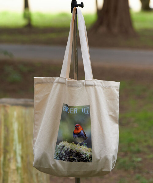 CIAOPANIC（チャオパニック）の「【WEB限定】【BIRDER×BIRDMANIA】雑誌転写バッグ（トートバッグ・レディース・ブルー/ホワイト/グリーン/オレンジ・FREE）」の3枚目の写真