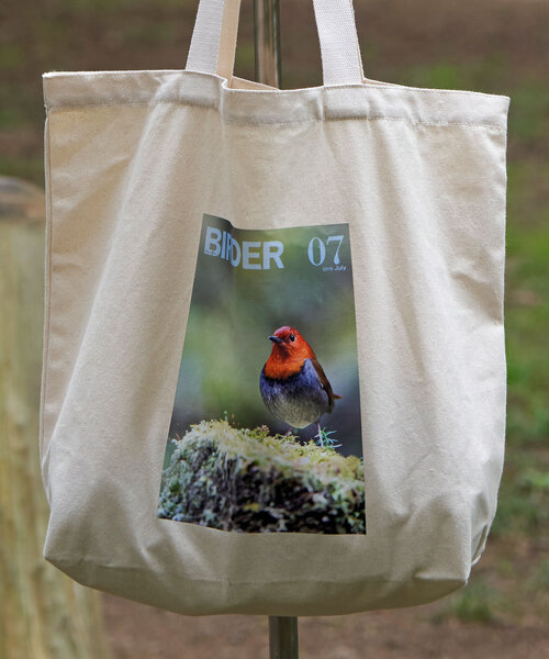 CIAOPANIC（チャオパニック）の「【WEB限定】【BIRDER×BIRDMANIA】雑誌転写バッグ（トートバッグ・レディース・ブルー/ホワイト/グリーン/オレンジ・FREE）」の9枚目の写真