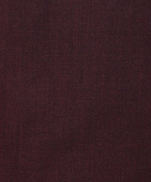 HARE(ハレ)の「ビッグテーラードジャケット(HARE)(テーラードジャケット・レディース・グレー/ワインレッド・FREE)」の14枚目の写真