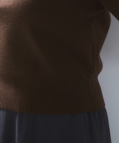 VIS（ビス）の「ダブルカラーポロトップス（ポロシャツ・レディース・チャコールグレー/キナリ/ブラウン・FREE）」の14枚目の写真