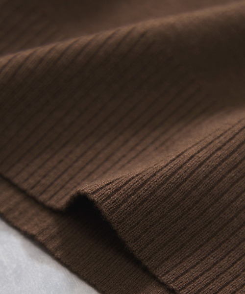 VIS（ビス）の「ダブルカラーポロトップス（ポロシャツ・レディース・チャコールグレー/キナリ/ブラウン・FREE）」の9枚目の写真