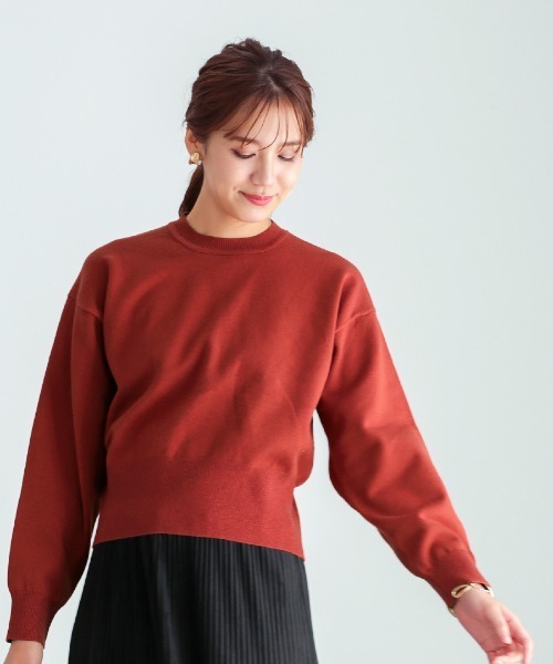 Emilyan(エミリアン)の「【 手洗いできる 】 スウェットライク・バックジップニットプルオーバー(ニット/セーター・レディース・ライトベージュ/ブラック/レッド・M)」の1枚目の写真