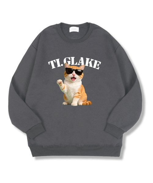 TI.GLAKE(ティーグレイク)の「グラスキャット オーバーサイズ 特殊裏毛 スウェット Tシャツ ダークグレー(スウェット・メンズ・その他・MEDIUM/LARGE/X-LARGE/XX-LARGE)」の1枚目の写真