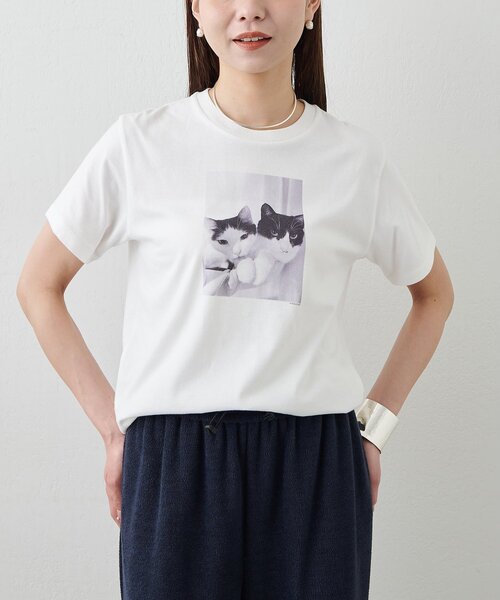 Drawing Numbers（ドローイング ナンバーズ）の「【Drawing Numbers】キャットTシャツ（Tシャツ/カットソー・レディース・ホワイト・38）」の2枚目の写真