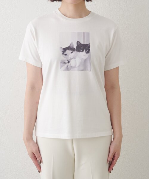 Drawing Numbers（ドローイング ナンバーズ）の「【Drawing Numbers】キャットTシャツ（Tシャツ/カットソー・レディース・ホワイト・38）」の11枚目の写真
