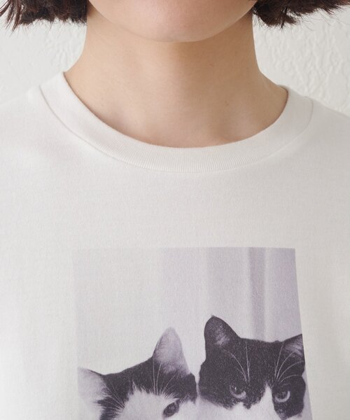 Drawing Numbers（ドローイング ナンバーズ）の「【Drawing Numbers】キャットTシャツ（Tシャツ/カットソー・レディース・ホワイト・38）」の14枚目の写真