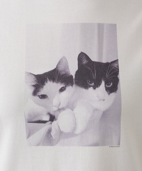 Drawing Numbers（ドローイング ナンバーズ）の「【Drawing Numbers】キャットTシャツ（Tシャツ/カットソー・レディース・ホワイト・38）」の16枚目の写真