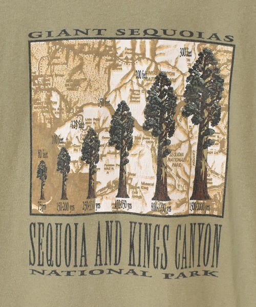 VINTAGE(ヴィンテージ)の「【ヴィンテージ古着】GIANT SEQUOIAS プリント Tシャツ(Tシャツ/カットソー・メンズ・カーキ・MEDIUM)」の2枚目の写真