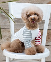 JEKYLL EGG（ジキルエッグ）の「JekyllEgg/ジキルエッグ/【くつろ着】JE243 無地ロング袖XS,S,M,L,XL/犬服（ドッグウェア）（ペットウェア）」