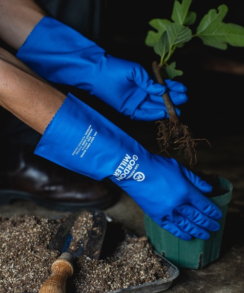 GORDON MILLER（ゴードンミラー）の「GORDON MILLER（ゴードンミラー）ソフトビニルグローブ（掃除グッズ・メンズ・ブルー・M/L）」の14枚目の写真