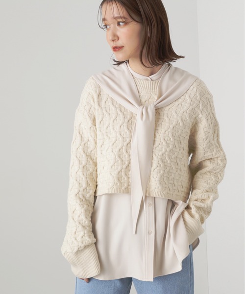 N.（N. Natural Beauty Basic）（エヌエヌナチュラルビューティーベーシック）の「◆スカーフバンドカラーシャツ（シャツ/ブラウス・レディース・ネイビー/オフホワイト・MEDIUM）」の6枚目の写真