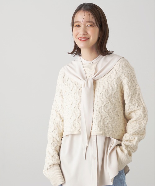 N.（N. Natural Beauty Basic）（エヌエヌナチュラルビューティーベーシック）の「◆スカーフバンドカラーシャツ（シャツ/ブラウス・レディース・ネイビー/オフホワイト・MEDIUM）」の11枚目の写真