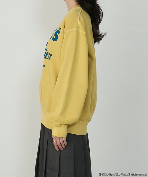 Brook アヒルプリント スウェット Mサイズ　最終価格！ DUBBLE WORKS “BRIDGE PORT”PRINT SAXED SWEAT SHIRTS 可愛い