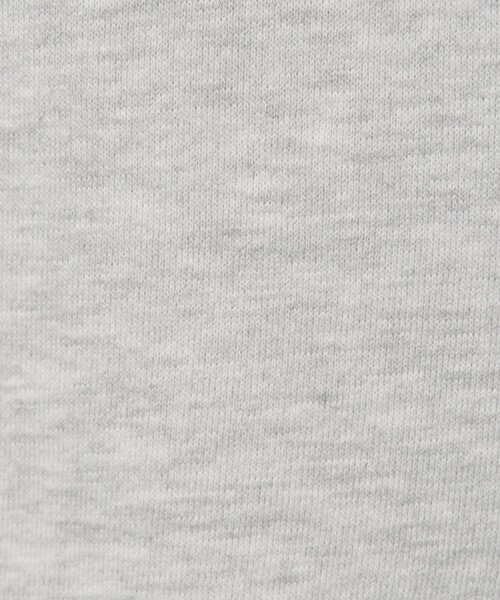 BEAUTY&YOUTH UNITED ARROWS(ビューティーアンドユースユナイテッドアローズ)の「<COTTON EXPRESSIONS>MARS PROBE スウェット(スウェット・メンズ・ライトグレー・L/M)」の8枚目の写真