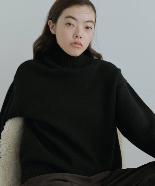 anuke(アンヌーク)の「Merinowool Turtle Knit(ニット/セーター・レディース・クリーム/ブラック/ブルー系その他・FREE)」の1枚目の写真
