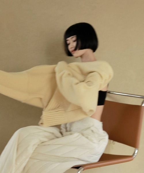 anuke(アンヌーク)の「Merinowool Turtle Knit(ニット/セーター・レディース・クリーム/ブラック/ブルー系その他・FREE)」の15枚目の写真