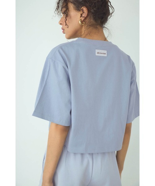 ALEXIA STAM（アリシアスタン）の「Logo Patch Cropped Tee/ロゴパッチ ポケットT（Tシャツ/カットソー・レディース・ブルー/ホワイト/グレー/イエロー・S/M）」の19枚目の写真