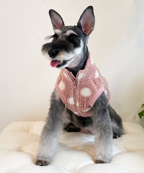 Best Friends（ベストフレンズ）の「Best Friends ベストフレンズ：水玉ボアベスト（ペットウェア・レディース・ブラック/ピンク/アイボリー/グレー/ベージュ/ホワイト/イエロー・S/L/XXL/M/XL）」の7枚目の写真