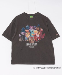 FRUIT OF THE LOOM（フルーツオブザルーム）の「【FRUIT OF THE LOOM】SESAME STREET×FTL フォトTシャツ D/セサミストリート コラボ（Tシャツ/カットソー）」
