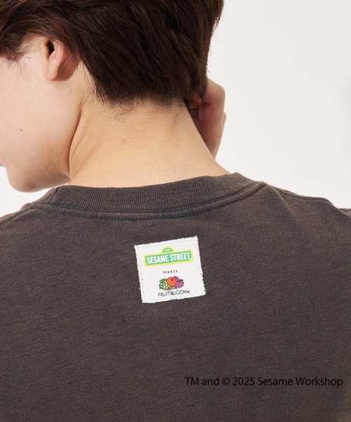 FRUIT OF THE LOOM（フルーツオブザルーム）の「【FRUIT OF THE LOOM】SESAME STREET×FTL フォトTシャツ D/セサミストリート コラボ（Tシャツ/カットソー・メンズ・オフホワイト/セージグリーン/チャコール・S/L/M）」の13枚目の写真