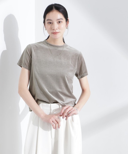 セール】シアーベロアコンパクトTシャツ（Tシャツ/カットソー