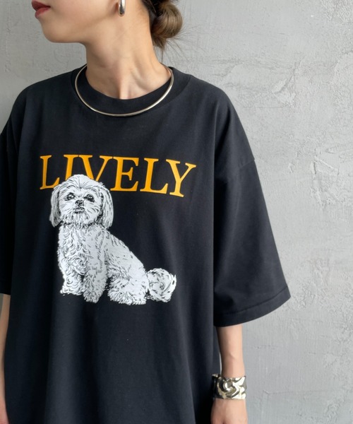 tシャツ 「SCREEN STARS/スクリーンスターズ」 DOG＆CAT プリントTシャツ レディース SCREEN STARS tシャツ 「SCREEN STARS/スクリーンスターズ