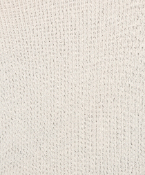 Gabardine K.T(ギャバジンケーティー)の「シアーテレコ スキントップス(Tシャツ/カットソー・レディース・オフホワイト/グレー/ブラック・9号)」の12枚目の写真