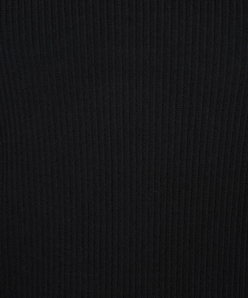 Gabardine K.T(ギャバジンケーティー)の「シアーテレコ スキントップス(Tシャツ/カットソー・レディース・オフホワイト/グレー/ブラック・9号)」の5枚目の写真