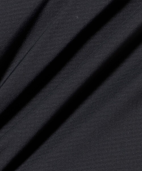 BEAMS GOLF(ビームスゴルフ)の「〈MEN〉ORANGE LABEL / レオフィール(R)サイドロゴ 中綿パンツ(その他パンツ・メンズ・ブラック/ホワイト・MEDIUM/LARGE/X-LARGE/SMALL)」の21枚目の写真