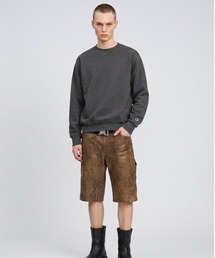 Champion / PULLOVER SWEAT / S600 2026年秋冬 秋服 冬服