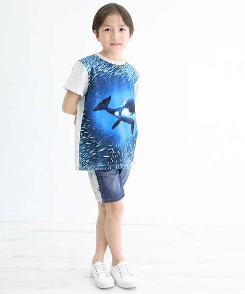 StompStamp（ストンプスタンプ）の「molo/モロ シャチプリントTシャツ（River5330）（Tシャツ/カットソー・キッズ・マルチ・100cm/110cm/120cm/95cm/140cm/150cm/160cm）」の3枚目の写真