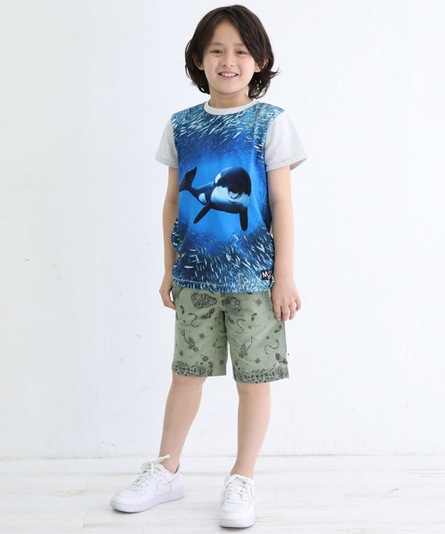 StompStamp（ストンプスタンプ）の「molo/モロ シャチプリントTシャツ（River5330）（Tシャツ/カットソー・キッズ・マルチ・100cm/110cm/120cm/95cm/140cm/150cm/160cm）」の4枚目の写真