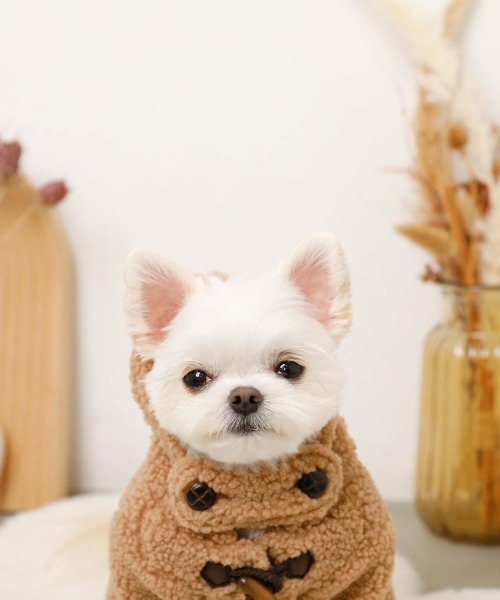 【新品、試着のみ】moncheri 犬用フード付きコート ベージュ 新品、試着のみ】moncheri 犬用フード付きコート ベージュ