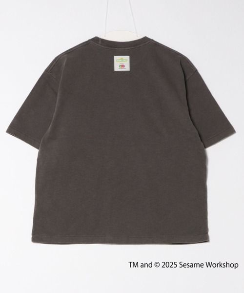 FRUIT OF THE LOOM(フルーツオブザルーム)の「【FRUIT OF THE LOOM】 SESAME STREET×FTL フォトTシャツ C/セサミストリート コラボ(Tシャツ/カットソー・メンズ・ライトブラウン/オフホワイト/チャコール・L/M/S)」の4枚目の写真