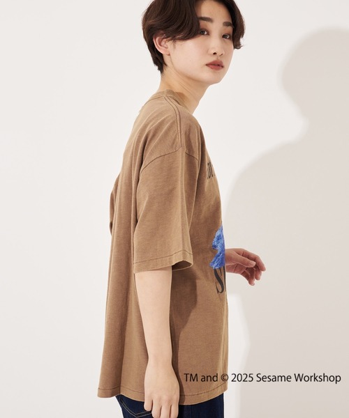 FRUIT OF THE LOOM(フルーツオブザルーム)の「【FRUIT OF THE LOOM】 SESAME STREET×FTL フォトTシャツ C/セサミストリート コラボ(Tシャツ/カットソー・メンズ・ライトブラウン/オフホワイト/チャコール・L/M/S)」の7枚目の写真
