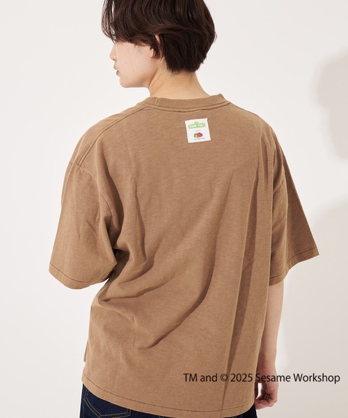 FRUIT OF THE LOOM(フルーツオブザルーム)の「【FRUIT OF THE LOOM】 SESAME STREET×FTL フォトTシャツ C/セサミストリート コラボ(Tシャツ/カットソー・メンズ・ライトブラウン/オフホワイト/チャコール・L/M/S)」の11枚目の写真