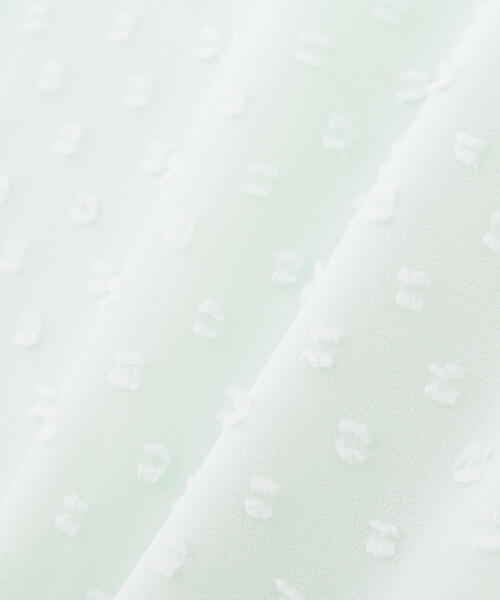 PINKY&DIANNE(ピンキーアンドダイアン)の「◆シアージャカードブラウス(シャツ/ブラウス・レディース・ライトグリーン/ホワイト系その他2/ブラック・38)」の21枚目の写真