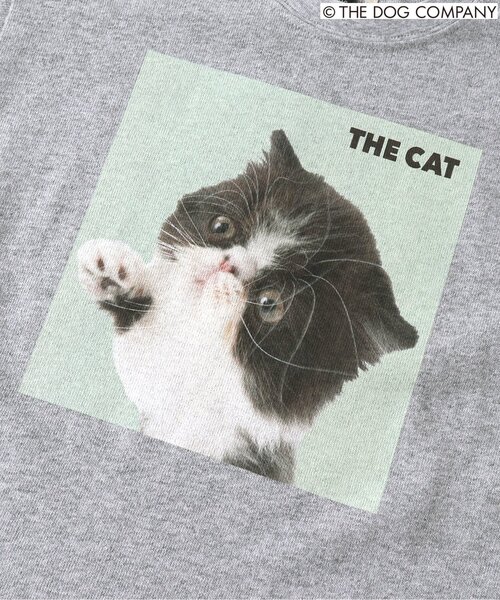 F.O.KIDS（エフオーキッズ）の「【THE DOG】バリエーションTシャツ（Tシャツ/カットソー・キッズ・ブラック/グレー/オフホワイト/カーキ・80/90/100/110/120/130/140）」の20枚目の写真