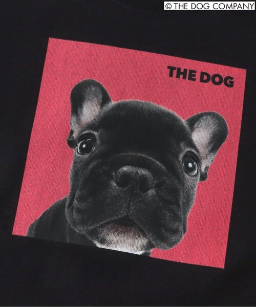 F.O.KIDS（エフオーキッズ）の「【THE DOG】バリエーションTシャツ（Tシャツ/カットソー・キッズ・ブラック/グレー/オフホワイト/カーキ・80/90/100/110/120/130/140）」の6枚目の写真