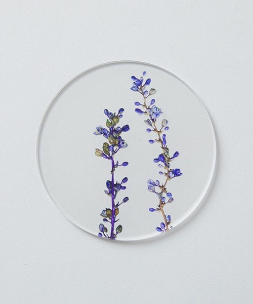 TODAY'S SPECIAL（トゥデイズスペシャル）の「【toumei】押し花 コースター/344159（ランチョンマット/テーブルウェア・レディース・ホワイト/ホワイト系その他2/その他3・FREE）」の4枚目の写真