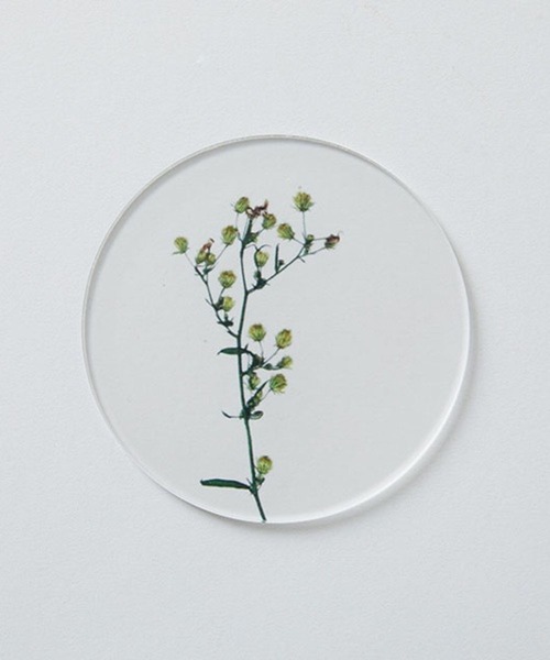 TODAY'S SPECIAL（トゥデイズスペシャル）の「【toumei】押し花 コースター/344159（ランチョンマット/テーブルウェア・レディース・ホワイト/ホワイト系その他2/その他3・FREE）」の5枚目の写真