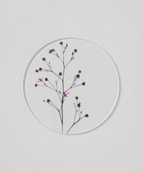 TODAY'S SPECIAL（トゥデイズスペシャル）の「【toumei】押し花 コースター/344159（ランチョンマット/テーブルウェア・レディース・ホワイト/ホワイト系その他2/その他3・FREE）」の7枚目の写真