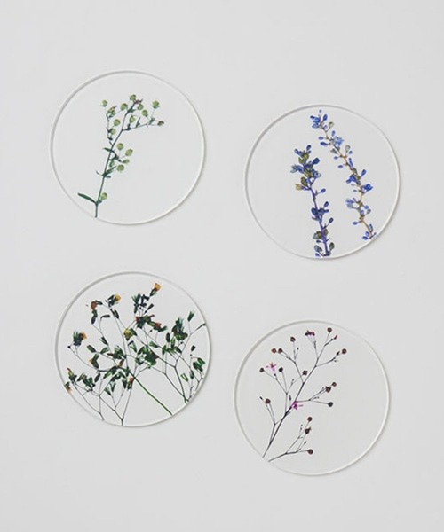 TODAY'S SPECIAL（トゥデイズスペシャル）の「【toumei】押し花 コースター/344159（ランチョンマット/テーブルウェア・レディース・ホワイト/ホワイト系その他2/その他3・FREE）」の12枚目の写真