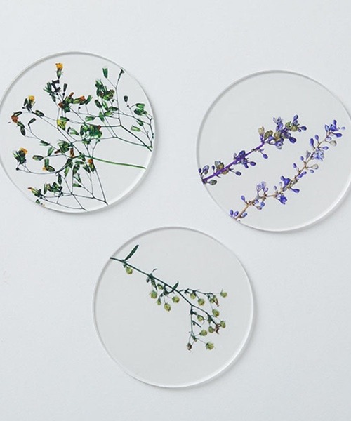 TODAY'S SPECIAL（トゥデイズスペシャル）の「【toumei】押し花 コースター/344159（ランチョンマット/テーブルウェア・レディース・ホワイト/ホワイト系その他2/その他3・FREE）」の13枚目の写真